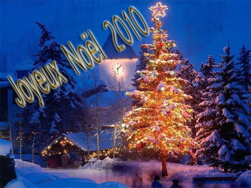 Frohe Weihnachten 2010 - Tannenstock