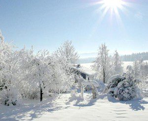 paysage-neige