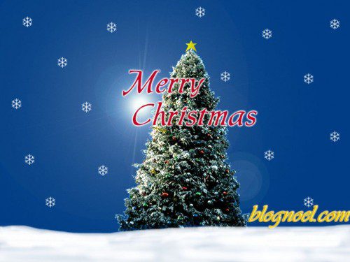 noel-merry-christmas-tree