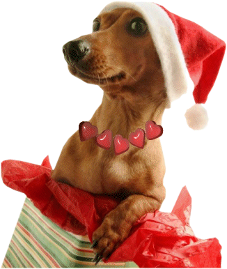 Recherche de Noel