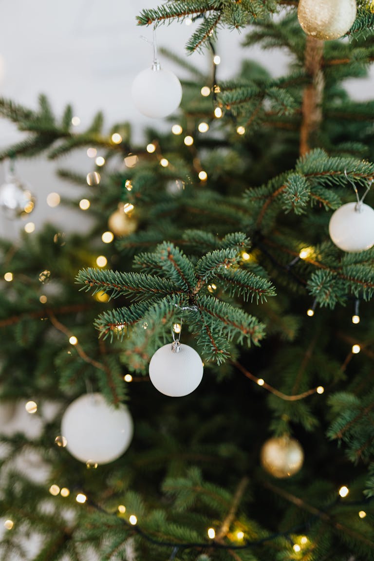 noël fête 2025